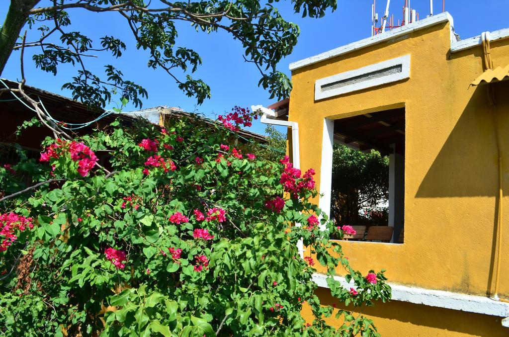 Jardin Etnobotanico Villa Ludovica Santa Marta  Room photo