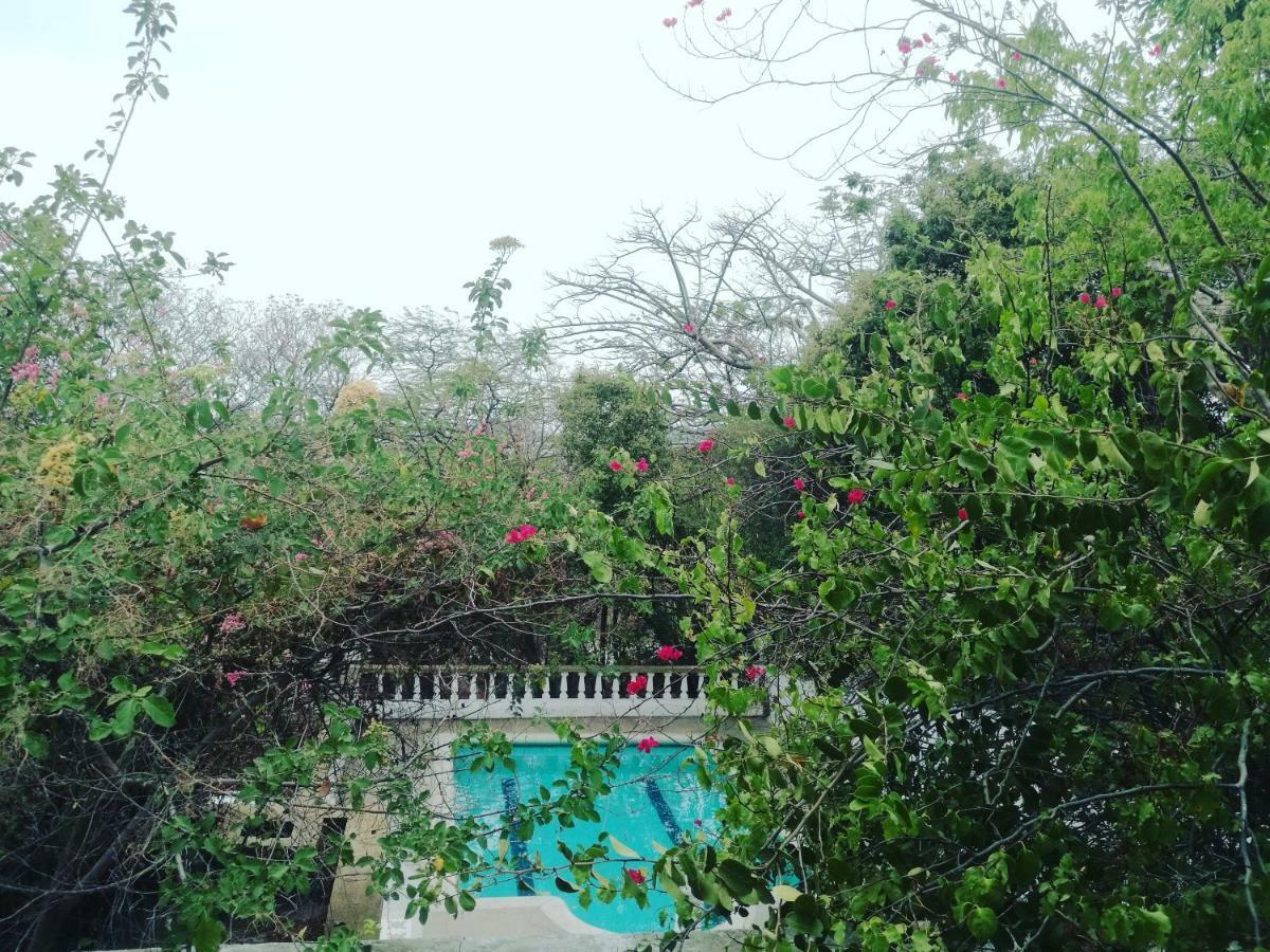 Jardin Etnobotanico Villa Ludovica Santa Marta  Exterior photo