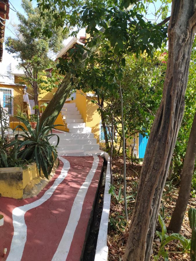 Jardin Etnobotanico Villa Ludovica Santa Marta  Exterior photo